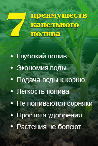 Купити рулонний газон тонконіг лучний в Челябінську за низькими цінами