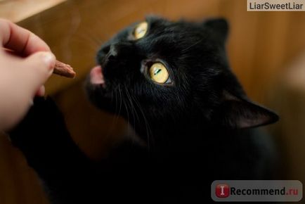 Ласощі edel cat жувальні ковбаски для кішок - «наша кішка просто без розуму від цих ковбасок