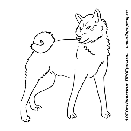 Laiki színezés - színezés Lars és a kutya Laika színező gyerekeknek online nyomtatási