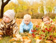 Tratamentul adenoids remedii folk este cea mai buna alegere a părinților iubitoare!