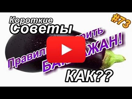 Лікування соняшниковим насінням, корисні поради