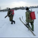 лісовий господар