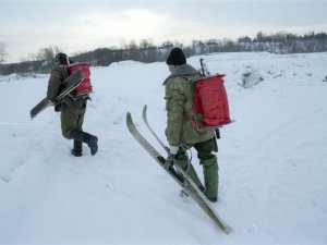 лісовий господар