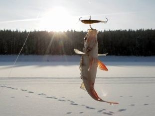 Horgászat a kiegyensúlyozó
