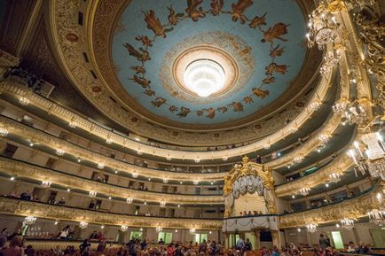 Palatul Mariinsky din St. Petersburg - fotografie și descriere, fapte interesante, hartă, cum să obțineți