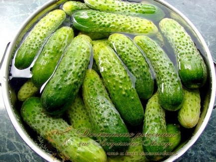 Pickles, sterilizálás nélküli, házi receptek Lyudmila