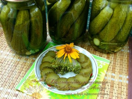 Pickles, sterilizálás nélküli, házi receptek Lyudmila