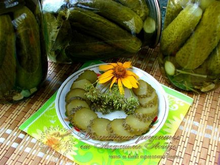 Pickles, sterilizálás nélküli, házi receptek Lyudmila