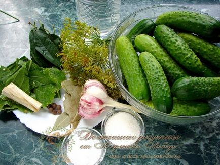 Pickles, sterilizálás nélküli, házi receptek Lyudmila