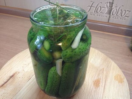 Pickles a téli egyliteres és 3 literes kanna, sterilizálás nélküli, receptek képekkel