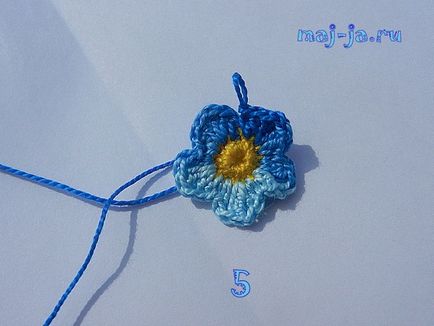 Maestru clasa tricotate mici floret-uita-ma-nu, tara de maestri