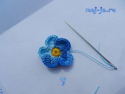 Maestru clasa tricotate mici floret-uita-ma-nu, tara de maestri