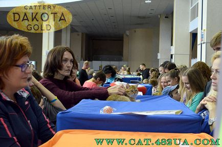 Expozitie internationala de pisici si pisici (wcf) din Kharkov, ziua 1, partea 1 - vizita la Bengal