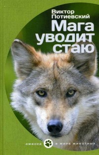 Мишка і кішка під однією обкладинкою - Чижиков в, купити книгу з доставкою