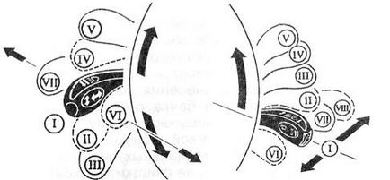 Modulul de comandă a iluminării de la baza liberă (VAZ-2170)