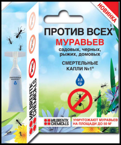 Мурахи на городі і садовій ділянці методи боротьби