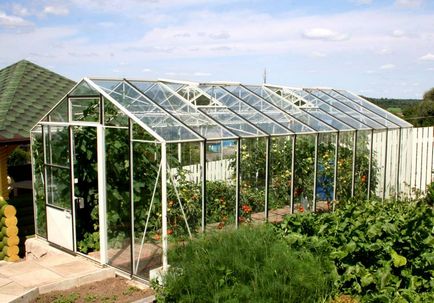 Olcsó üvegházak és fóliasátrak a kertben típusok jellemzőit, hogyan kell kiválasztani, hogy a saját kezébe
