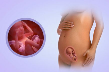 Низька плацентация при вагітності що робити, симптоми і причини