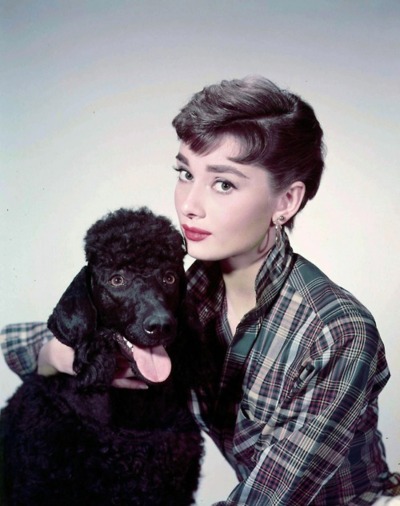 Audrey Hepburn și animale (40 fotografii)