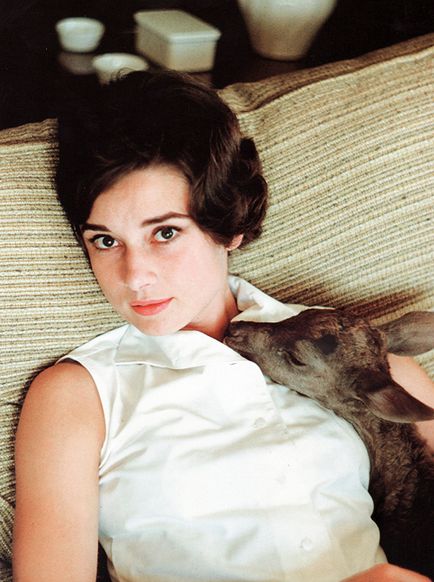 Audrey Hepburn și animale (40 fotografii)