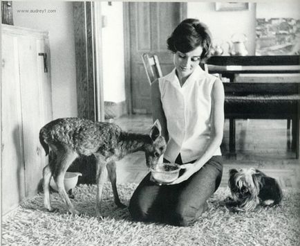 Audrey Hepburn și animale (40 fotografii)