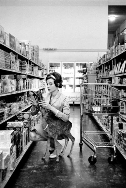 Audrey Hepburn și animale (40 fotografii)