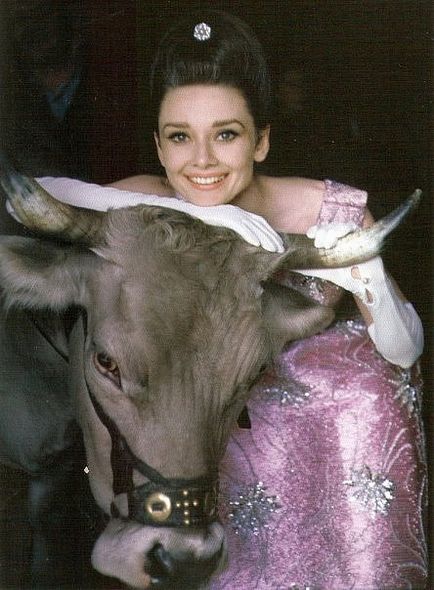 Audrey Hepburn și animale (40 fotografii)