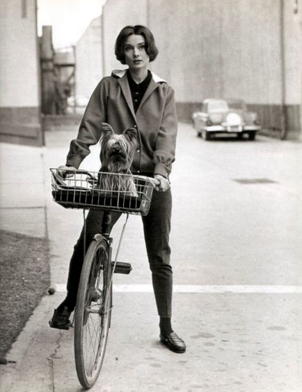 Audrey Hepburn și animale (40 fotografii)