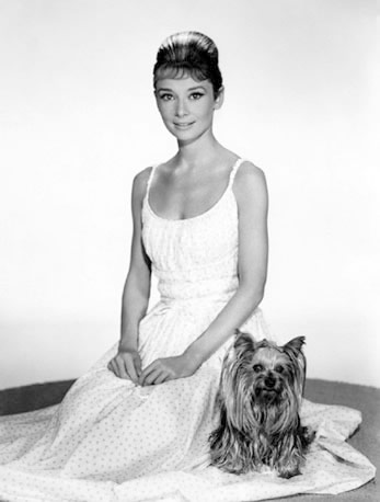 Audrey Hepburn și animale (40 fotografii)