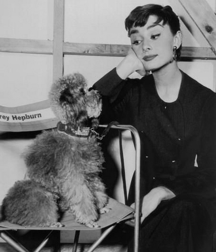 Audrey Hepburn și animale (40 fotografii)