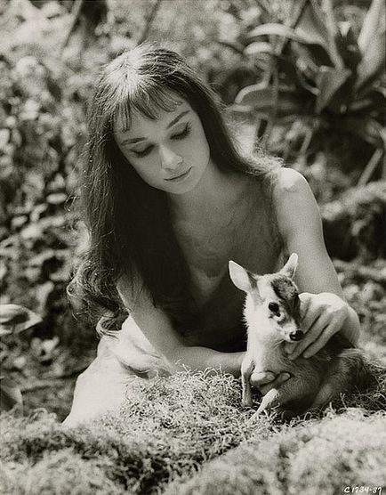 Audrey Hepburn și animale (40 fotografii)