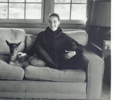 Audrey Hepburn și animale (40 fotografii)