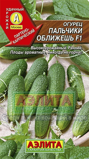 Огірок пальчики оближеш f1 купити насіння огірків оптом оптом і в роздріб від виробника