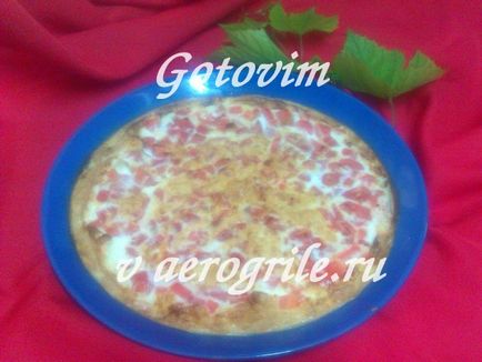 Omelet în aerogrill, rețetă cu fotografie