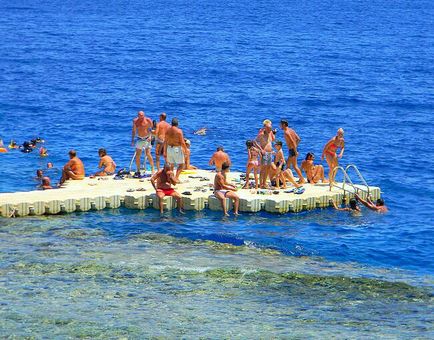 Небезпечні риби червоного моря, туристичний портал