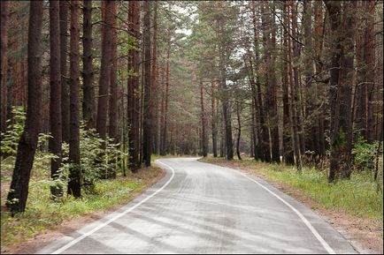Oryol pădurile - partea oficială, off-road