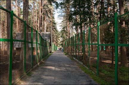 Oryol pădurile - partea oficială, off-road