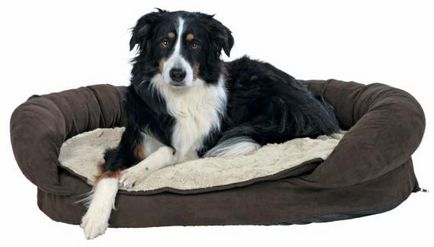 Ортопедичний лежак для собак