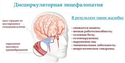 Перга при енцефалопатії та неврології