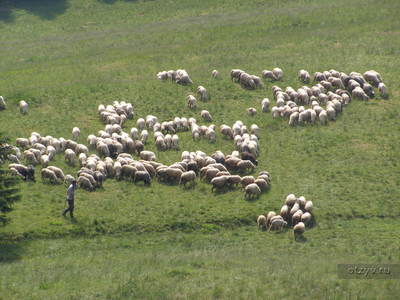 Drumeții în apropiere de Zakopane