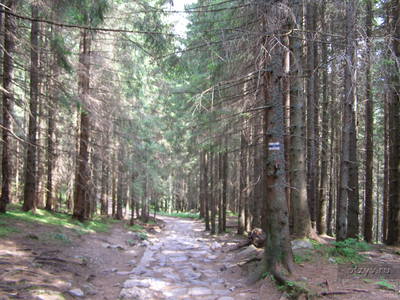 Drumeții în apropiere de Zakopane