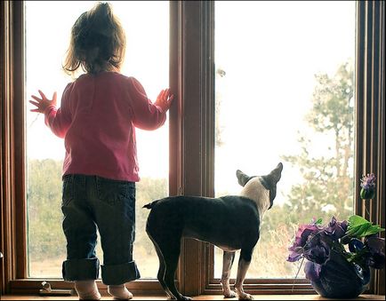 Чому діти випадають з вікон батьки зайняті своїми справами в сусідній кімнаті