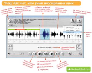 Aproape modul universal de învățare a limbilor cu cursuri audio și audiobook-uri, petitepolyglot