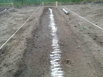 Trágyázás cukorrépa nyílt terepen, só, bórsav (nyitott) Trágyázás cukorrépa nyílt terepen, só, bórsav