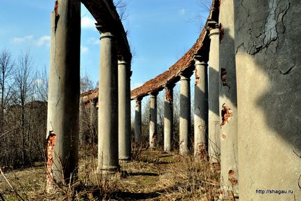 Підмосковна садиба горенки