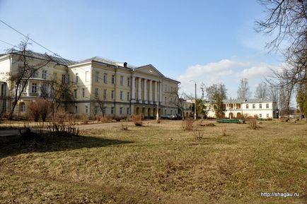 Підмосковна садиба горенки