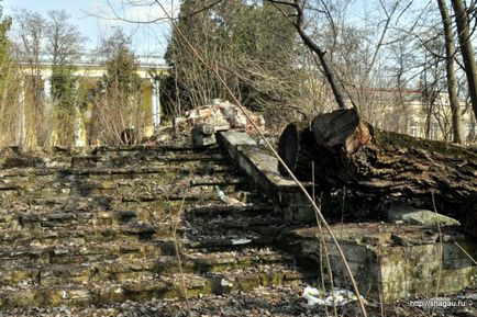 Підмосковна садиба горенки