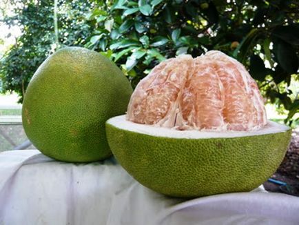 Pomelo gyümölcsök hasznos tulajdonságok mind a férfiak befolyásolja a potenciát