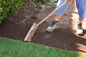 Plantarea iarba gazon în țară în toamna pregătirea site-ului, plantarea de semințe, de îngrijire