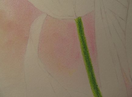 Покроковий майстер-клас малювання тюльпана пастеллю - - арт-олівець - магазин для творчих людей